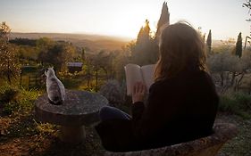 Agriturismo Il Castagnolino